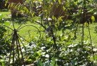 Cypress Gardenslandscape-features-14.jpg; ?>