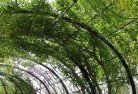 Cypress Gardenslandscape-features-3.jpg; ?>
