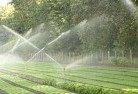 Cypress Gardenslandscaping-water-management-and-drainage-17.jpg; ?>