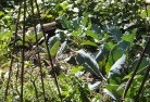 Cypress Gardensorganic-gardening-3.jpg; ?>
