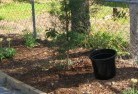 Cypress Gardensorganic-gardening-6.jpg; ?>