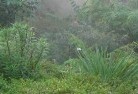 Cypress Gardensorganic-gardening-8.jpg; ?>